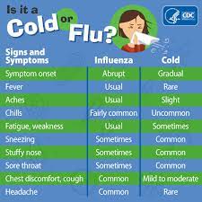 cold vs. flu photo